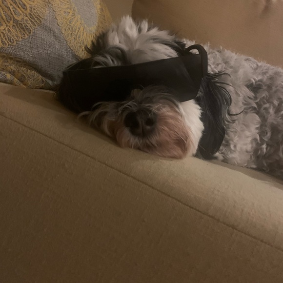 Meet your Posher, Aaron - Picture 1 of 1